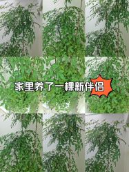-HEYAN荷妍专业脱毛连锁机构