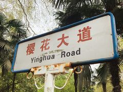 -武汉大学-樱园