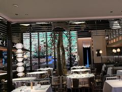 -桂满陇·海市蜃楼·黑金(国金店)