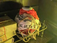 -武汉知音号