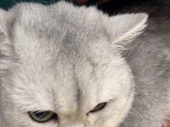 -佳雯宠物医院(四明中路分院)