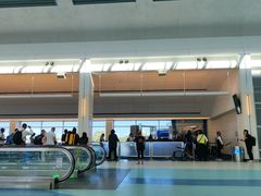 -约翰·菲茨杰拉德·肯尼迪国际机场