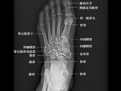 -广州中医药大学第一附属医院(总院)