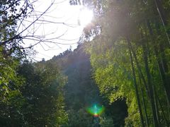 -夏霖九天银瀑风景区