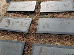 -野鸭湖国家湿地公园