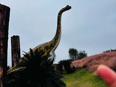 -南通洲际绿博园