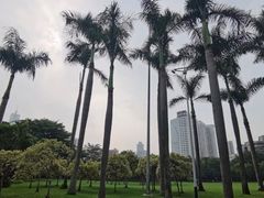 -东风公园