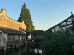 -乌镇西栅景区