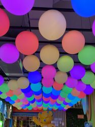 -宝燕乐园(闵行旗舰店)