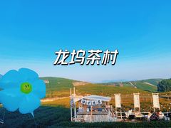 -龙坞茶村