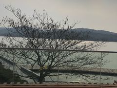 -水上明月·湖景餐厅