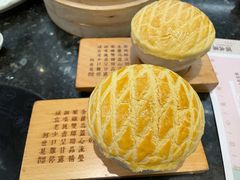 -新兴·金羊座·粤菜点心(乐峰店)
