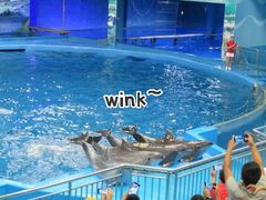 -多彩贵州城极地海洋世界