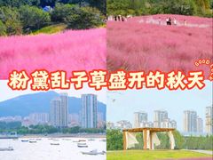 -万盛合(渔人码头店)