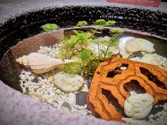 -春水堂人文茶馆(台中四维店)