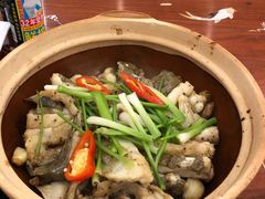 招牌焗多宝鱼-美极鲜食坊(宝安南路店)