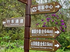 -广州白江湖森林公园