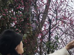 -雅安上里古镇
