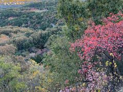 -北京西山国家森林公园