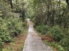 -桃花岭景区
