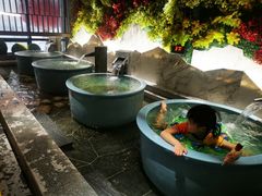 -青水瓦台汤泉(未央店)