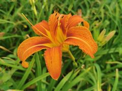 -贵阳蓬莱仙界