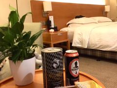 -上海浦东康桥绿地假日酒店