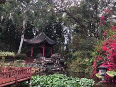 -深圳国际园林花卉博览园