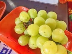 -马陆小张葡萄园农家乐