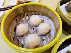 虾饺-暨南大学（石牌校区）明湖楼