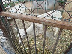 -河北村民俗体验园