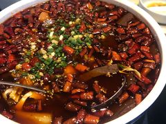 牛市口毛血旺-院8里·小乐园家常味川菜(鹭洲里店)