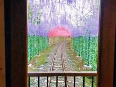 -莫尔道嘎国家森林公园