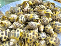 -海鲜e族(马王堆店)