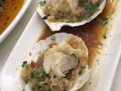 大扇贝-金龙渔港(双楠店)