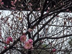 -上海市第十人民医院(总院)