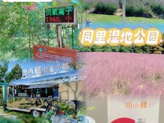 -同里国家湿地公园