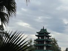 -桂湖森林公园