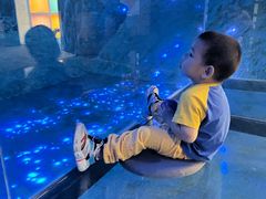 -深圳独角兽星空艺术馆