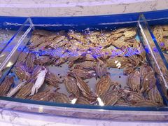 -澜悦港海鲜体验主题餐厅