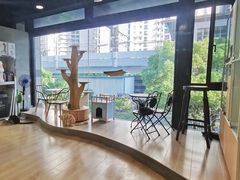 -十年猫舍·猫咪专门店(普陀店)