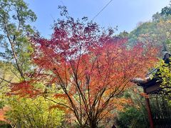 -大慈岩风景区