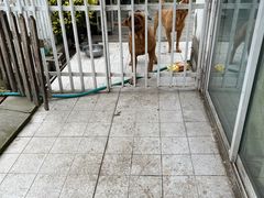 -洪湖家庭农场·团建·露营·会议