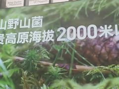 -椒王