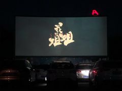 -枫花园汽车电影院(朝阳公园店)