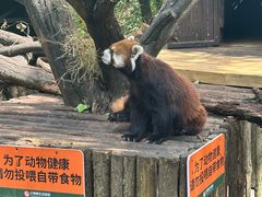 -云南野生动物园