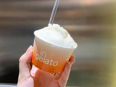 阳山水蜜桃-Dip in Gelato(富民路店)