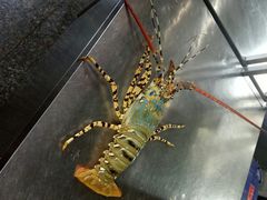 -火吧PTV聚会餐厅(10号店)