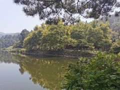 -庐山风景区花径公园