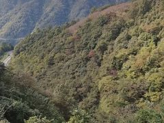 -四明山国家森林公园